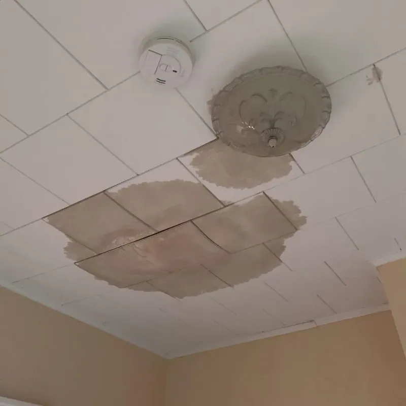 Ceiling Water Damage Repair in Moultonborough, NH
