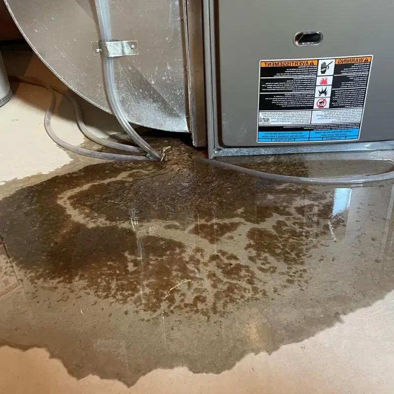 Pipe Burst and Leak Restoration in Moultonborough, NH